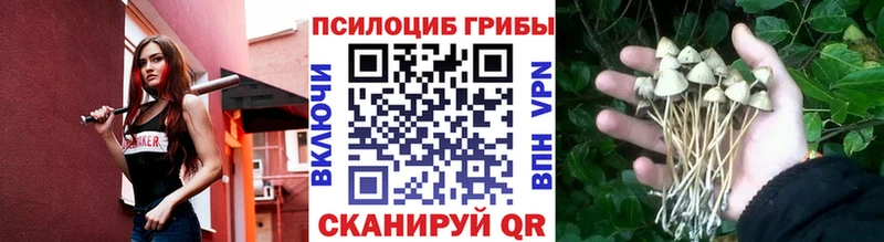 как найти закладки  Алупка  Галлюциногенные грибы прущие грибы 