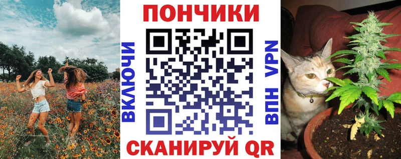 наркотики  Алупка  Бошки марихуана гибрид 